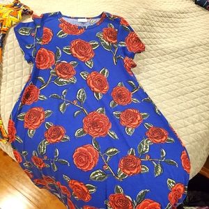 All Lula Roe brand clothing.